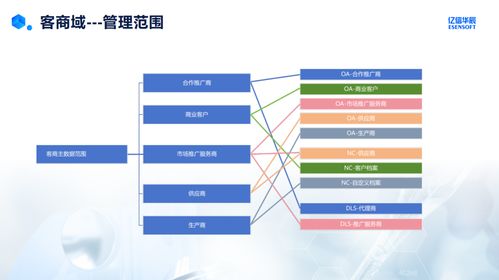 药企客商域主数据管理实践与挑战 基于数据处理服务的视角